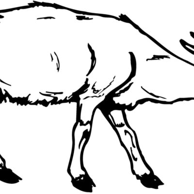 GOAT002 Thumbnail