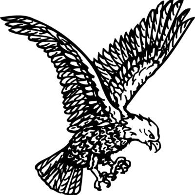 EAGLE037 Thumbnail