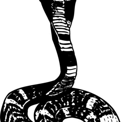 SNAKE006 Thumbnail