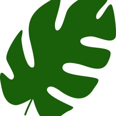 49 Leaf Thumbnail